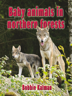 cover image of Baby animals in northern forests